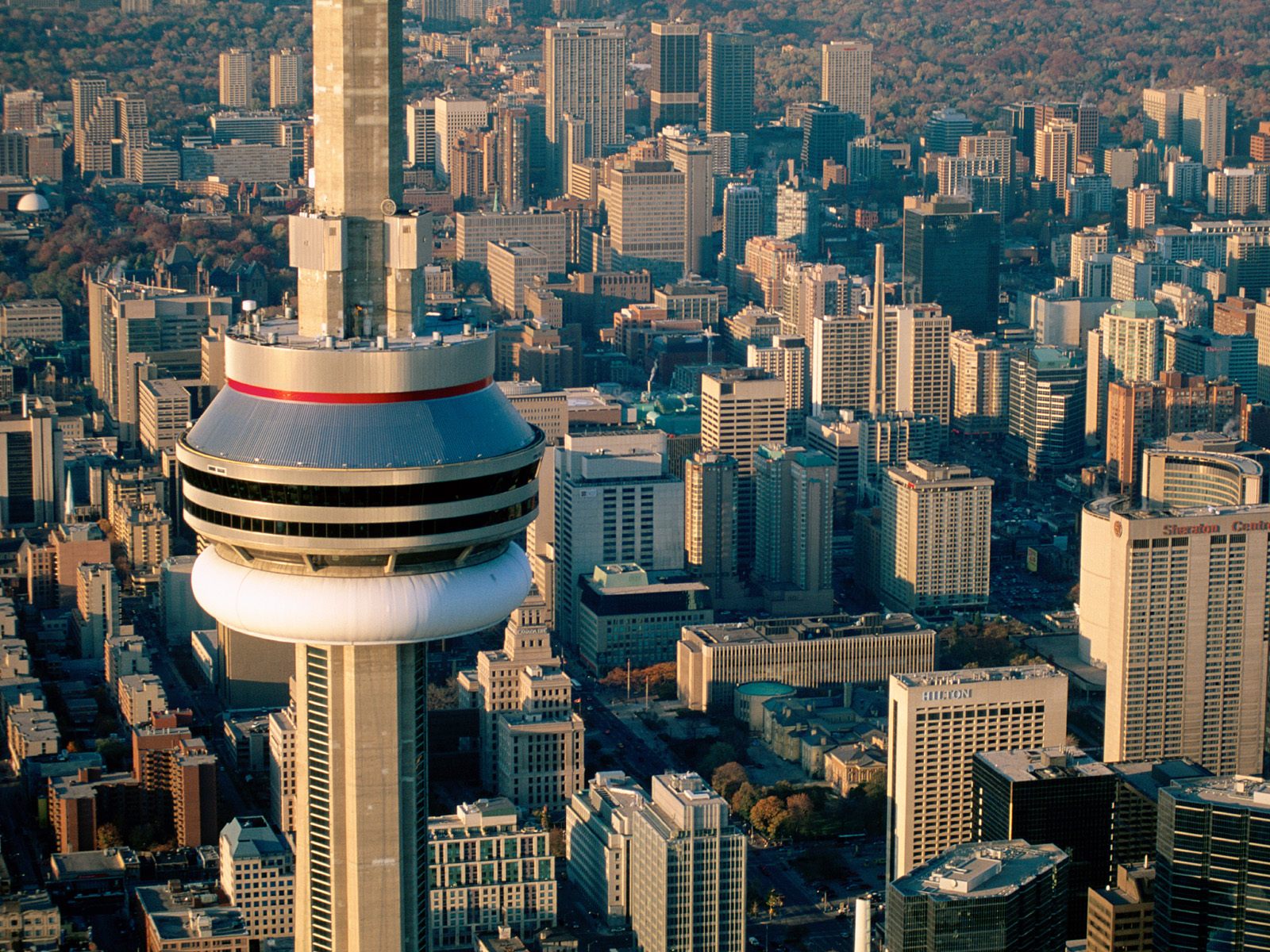 Aerial View of the CN Tower Toronto Canada Backgrounds