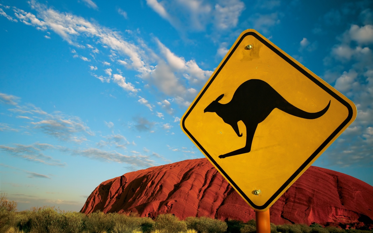 Ayers Rock Kangaroo Backgrounds