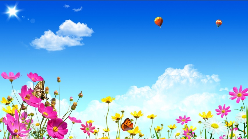 Balloon Ride in Spring Backgrounds