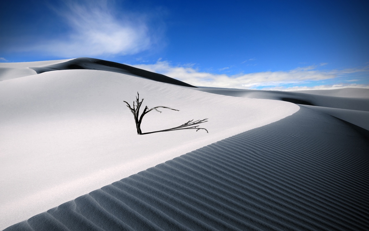 Beautiful White Desert Dunes Backgrounds