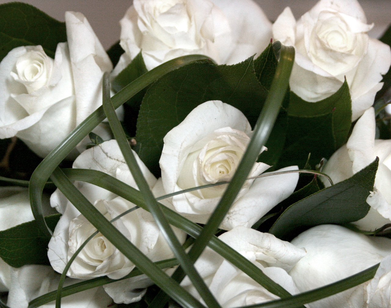 bouquet white a flowers Backgrounds