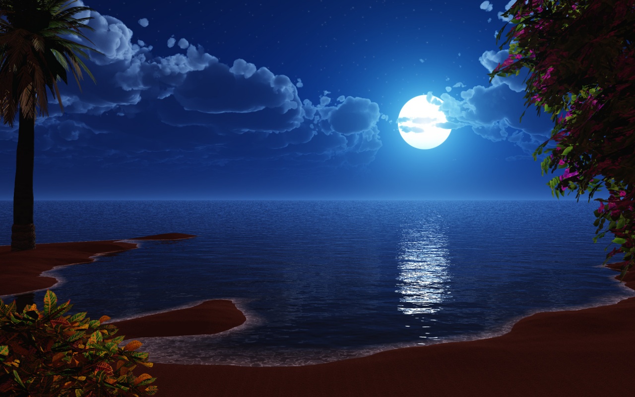 Bright Moon Night In Shore Backgrounds
