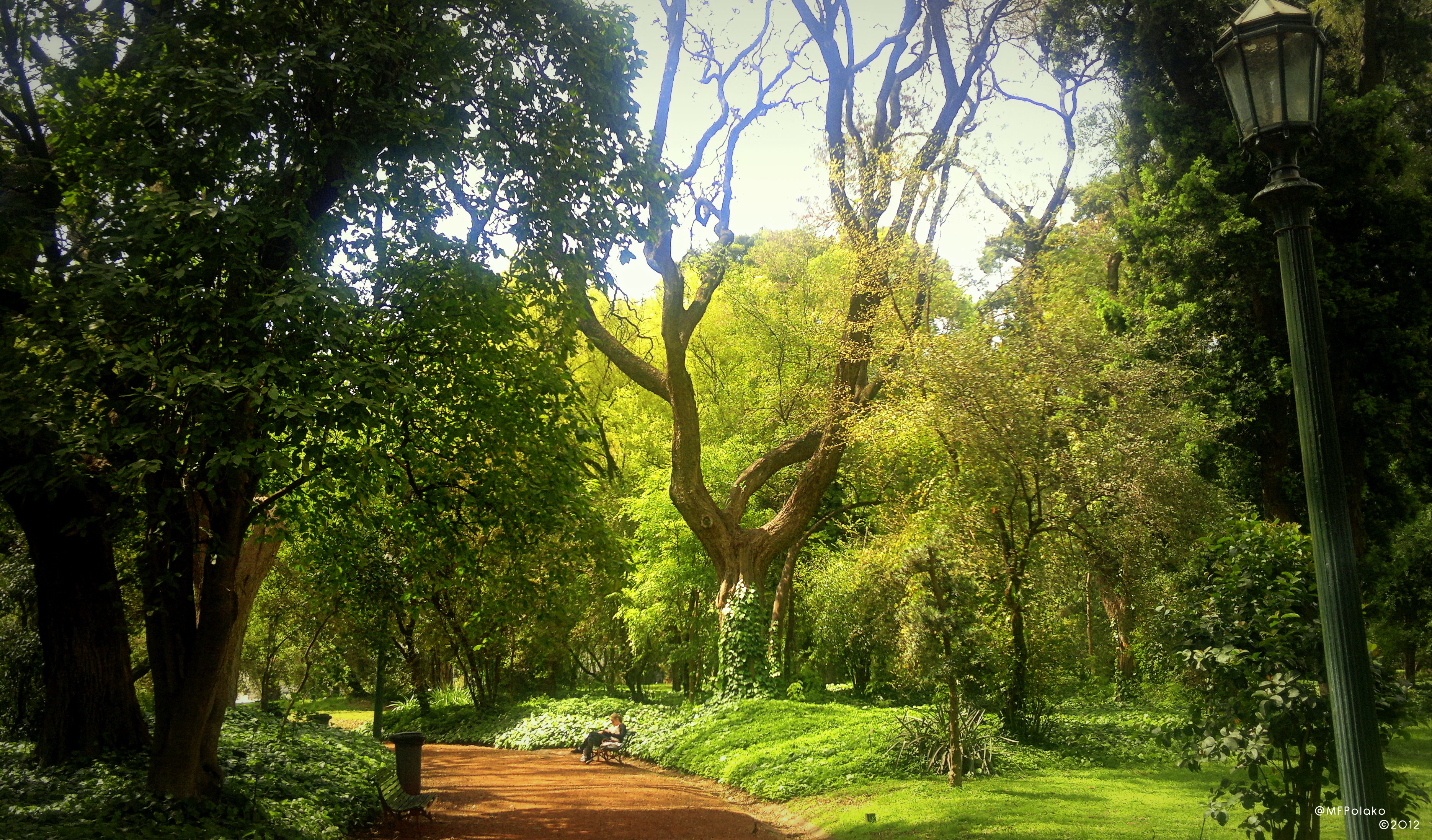 Buenos Aires Botanical Garden Backgrounds