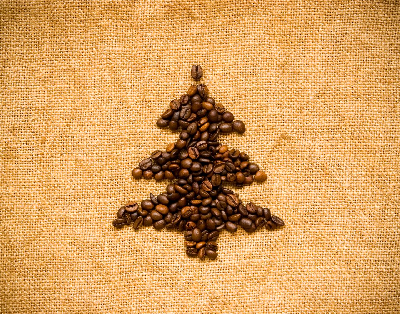 Coffee Bean Tree Backgrounds