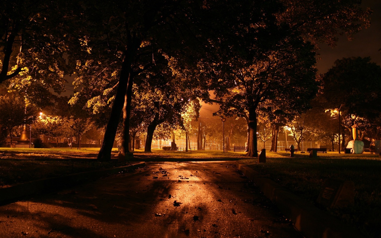 Dark Park Night Backgrounds