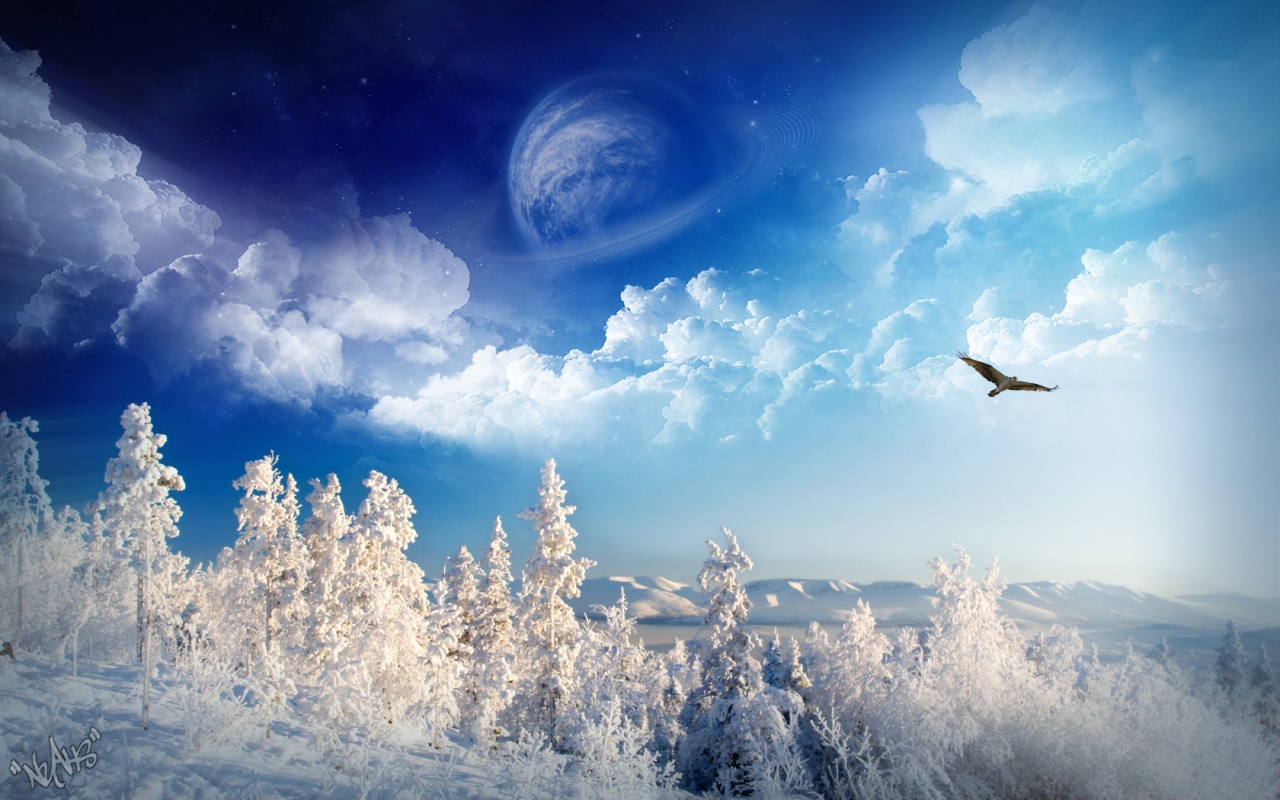 Dreamy Winter Backgrounds