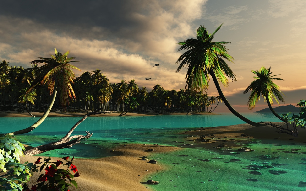 Droopy Palms Trees Islands Backgrounds