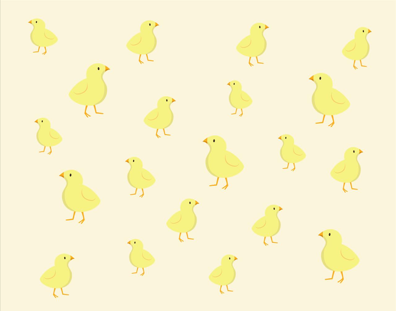 Easter chicks Backgrounds