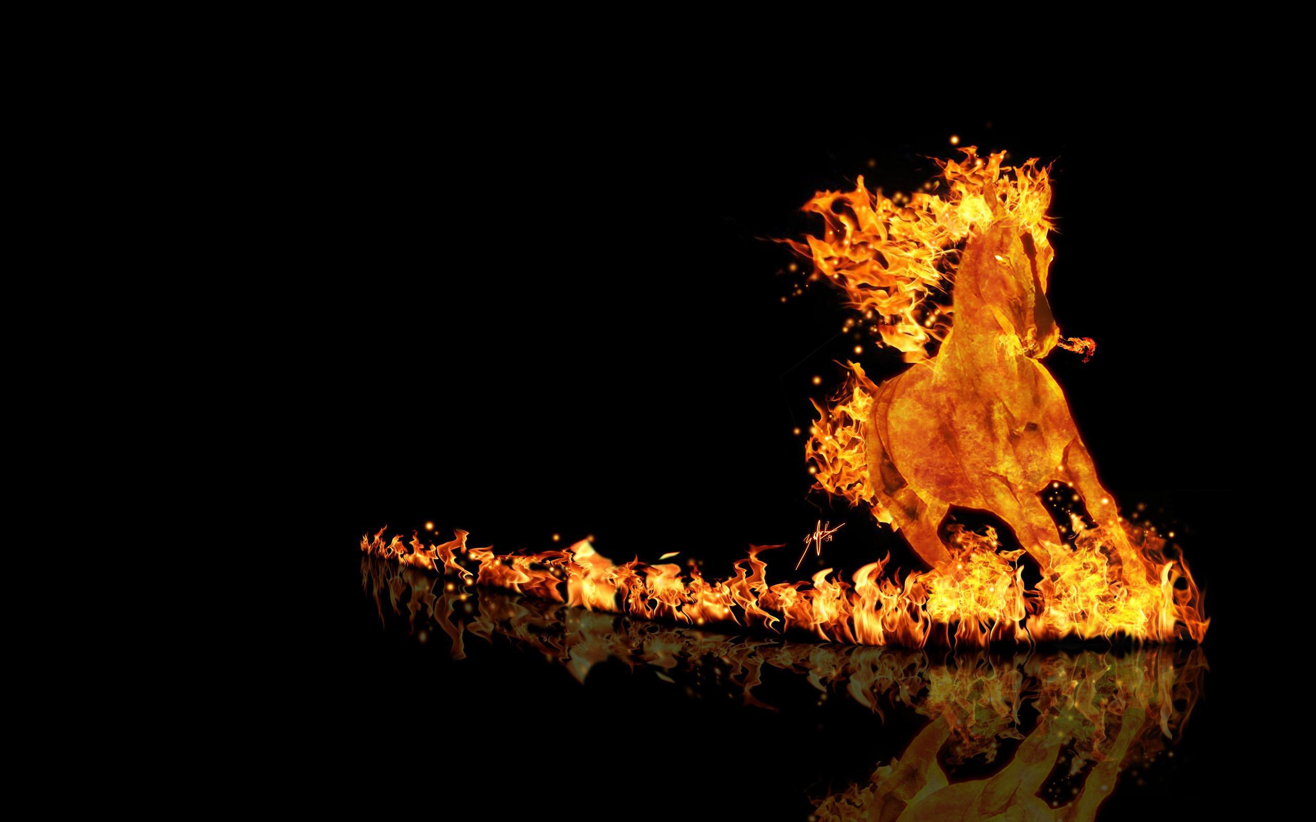 Fire Horse Backgrounds