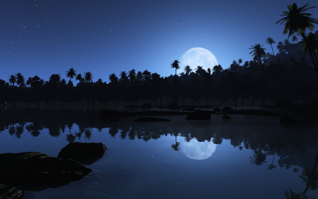 Full Moon Blue Night Backgrounds