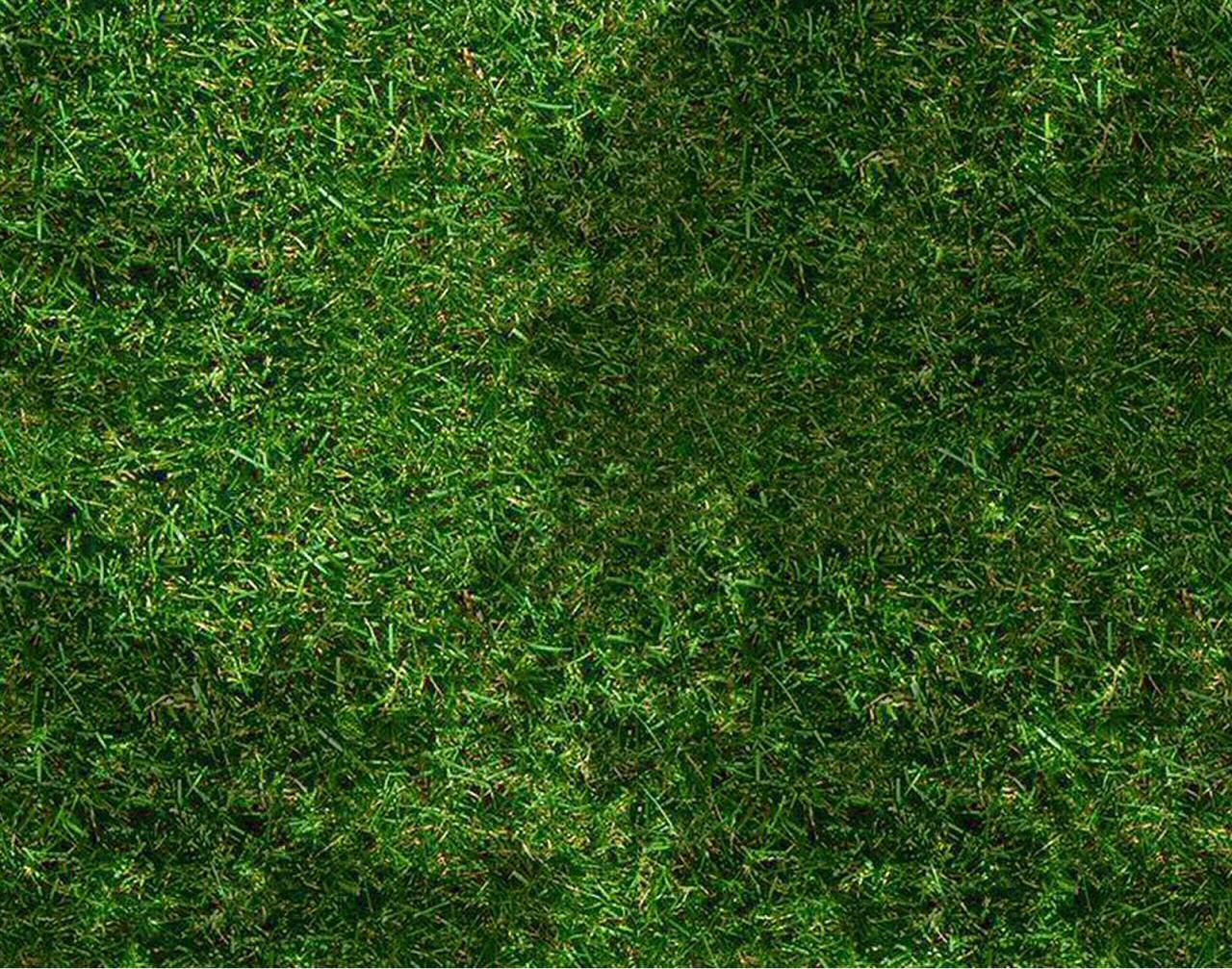 Grass sports Backgrounds