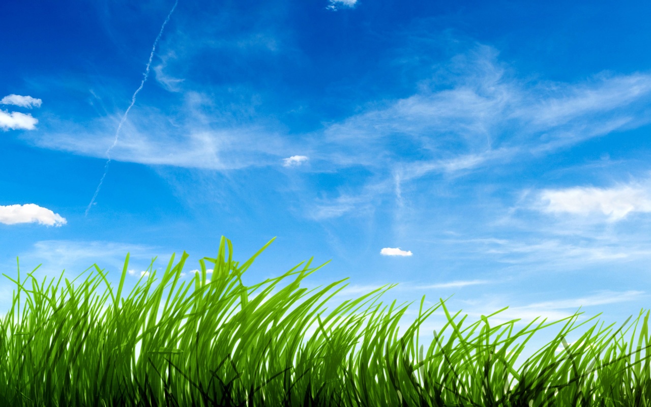 Green Grass Clear Sky Backgrounds