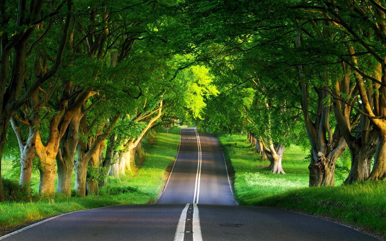 Green Nature Road Backgrounds