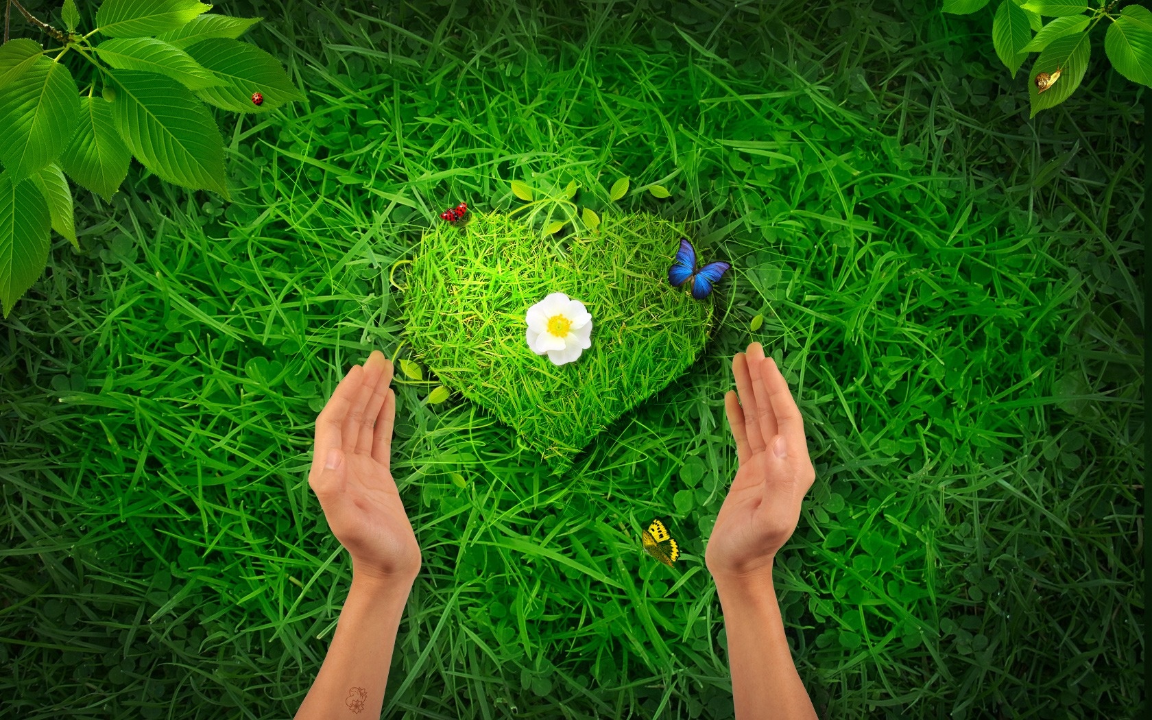 Heart Nature Background