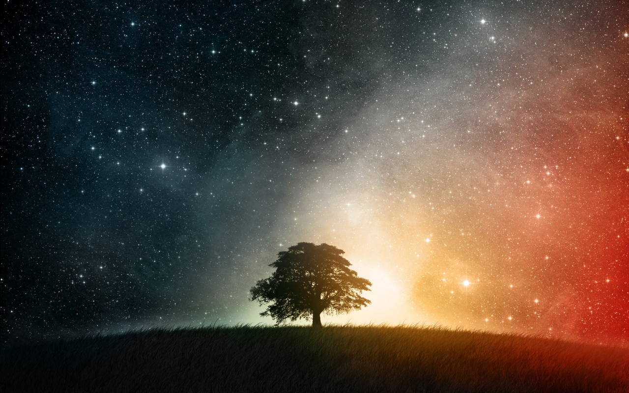 Night Stars Tree Backgrounds