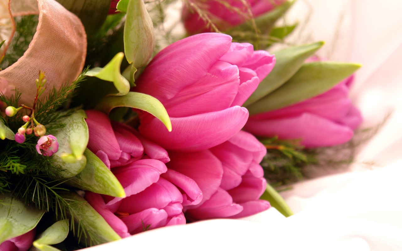 Pink Flowers Gift Backgrounds