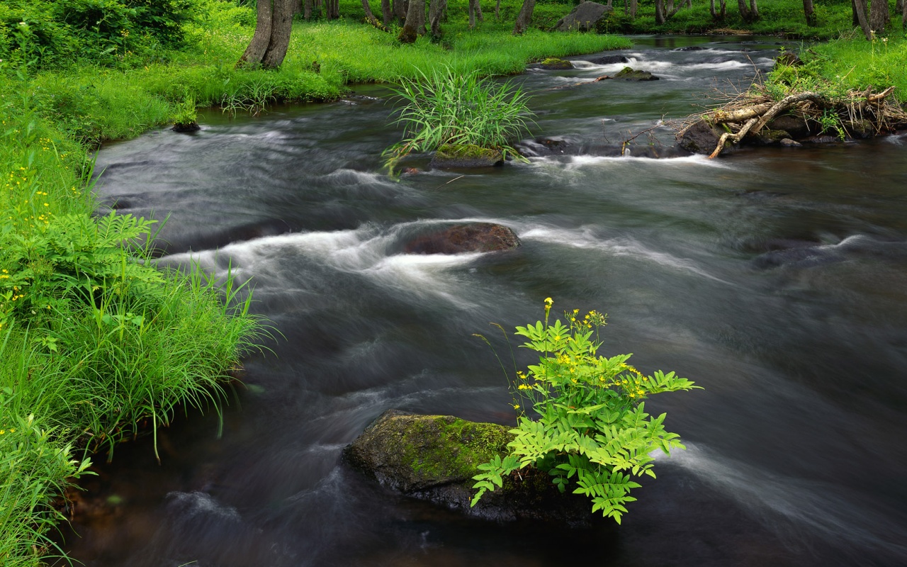 River Flow Backgrounds