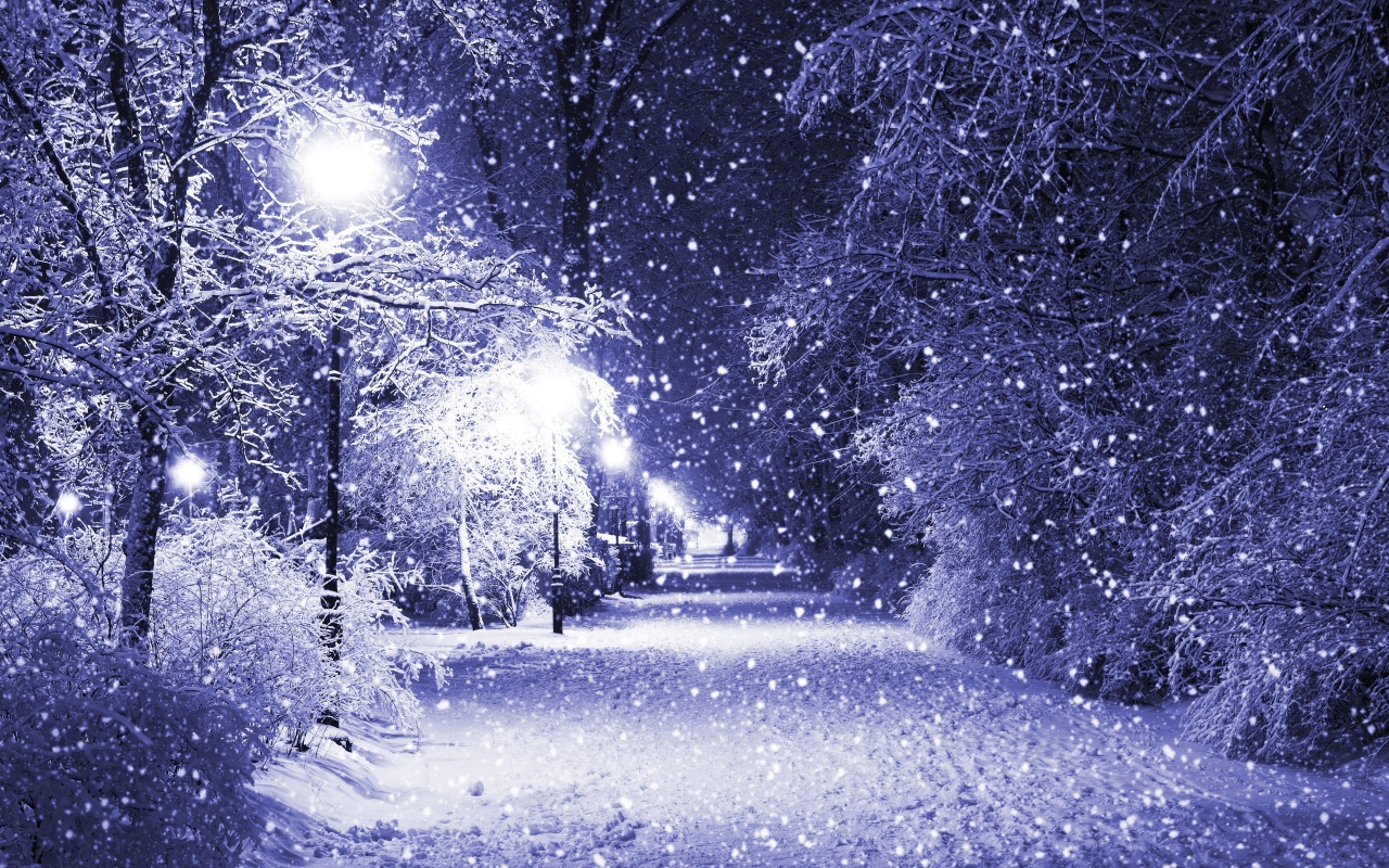 Snow Fall Park Backgrounds