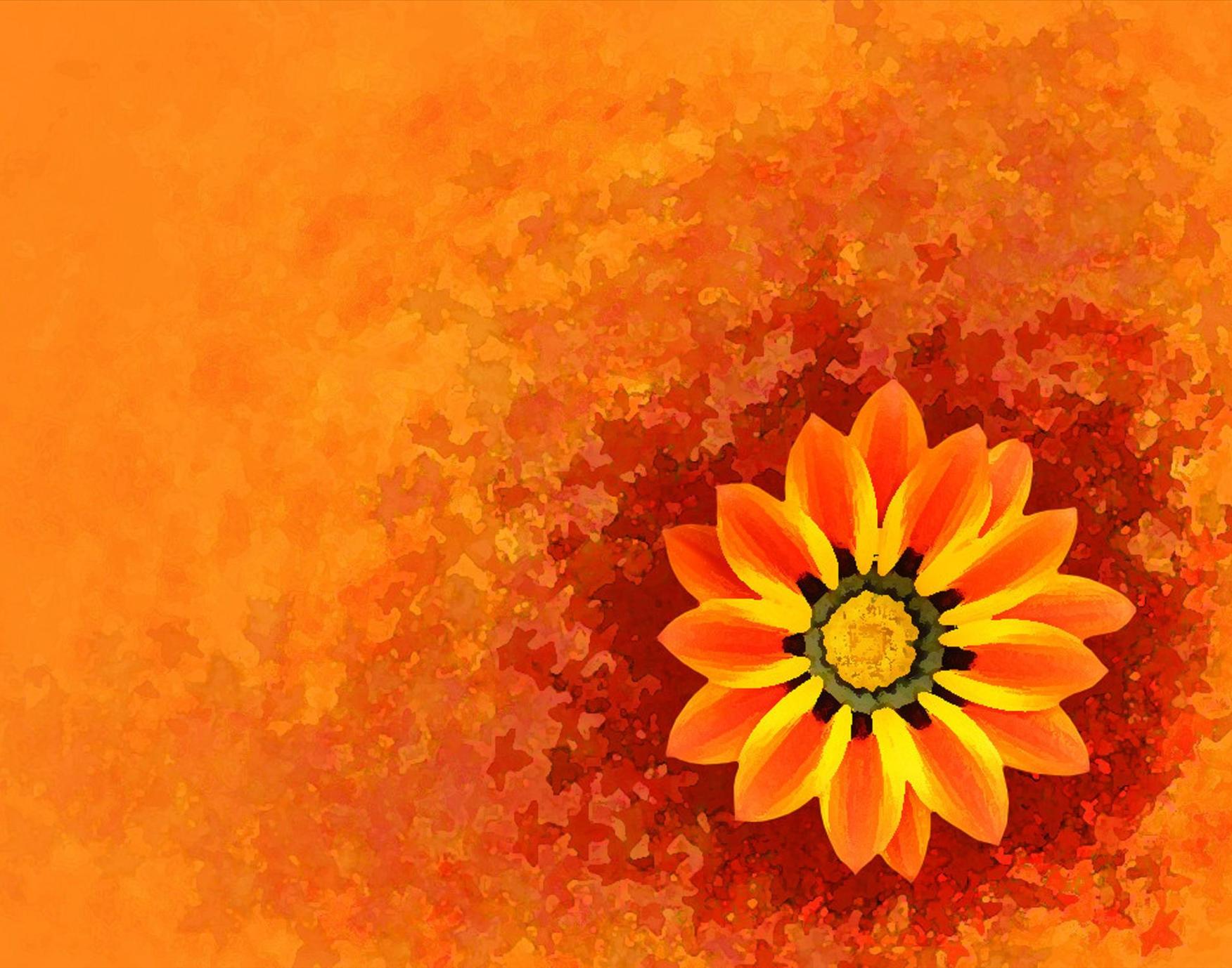 Sunflower orange Backgrounds