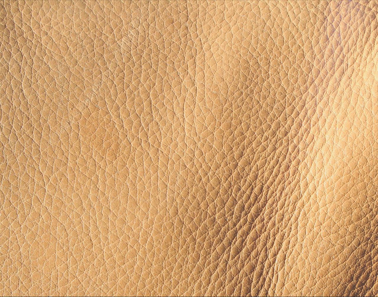 Warm Leather