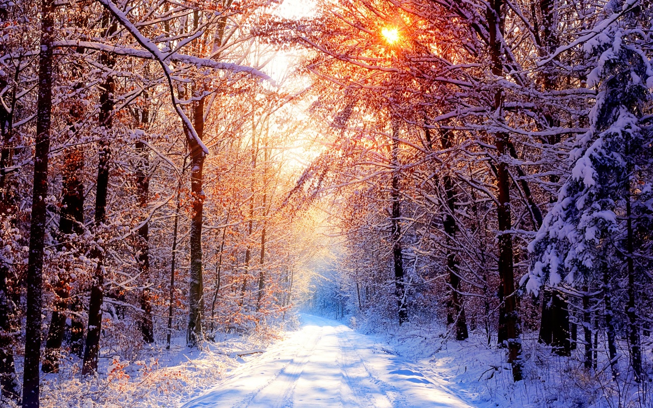 Winter Morning Backgrounds