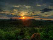 African Forest Sunset Backgrounds