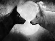 Black and White Wolf