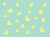 chicks on turquoise Backgrounds