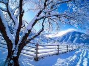 Christmas Winter Albums HD Backgrounds