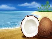 Coconuts Near Beach Backgrounds