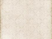 Ivory Lace Backgrounds