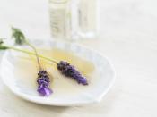 Lavender Flowers in Dish of Essential Oils Backgrounds