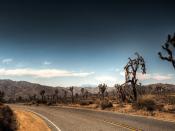 Lonesome Desert Road Backgrounds