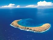 Molokini Crater Maui Hawaiian Islands Backgrounds