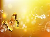 Orange Color Butterfly Backgrounds