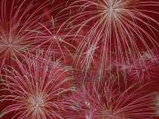 Red Fireworks Backgrounds