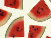 Watermelon Slices Background