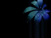 Blue Butterfly Backgrounds